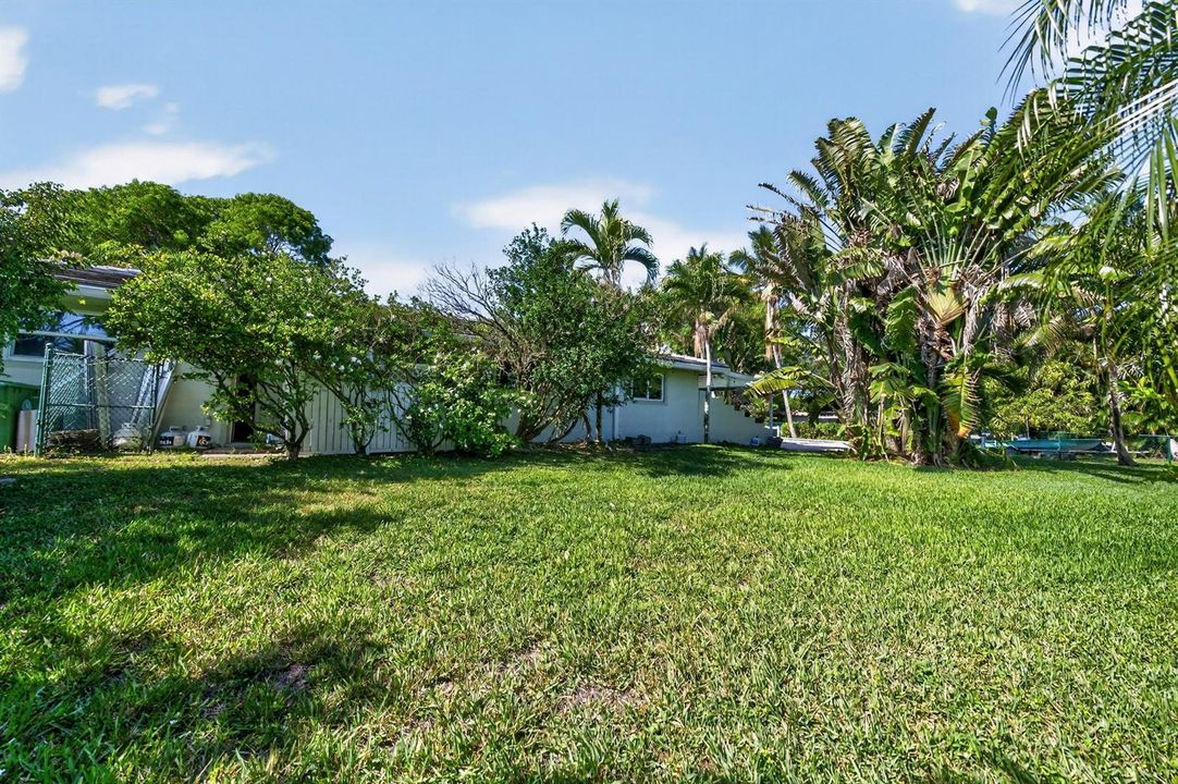 Side Yard