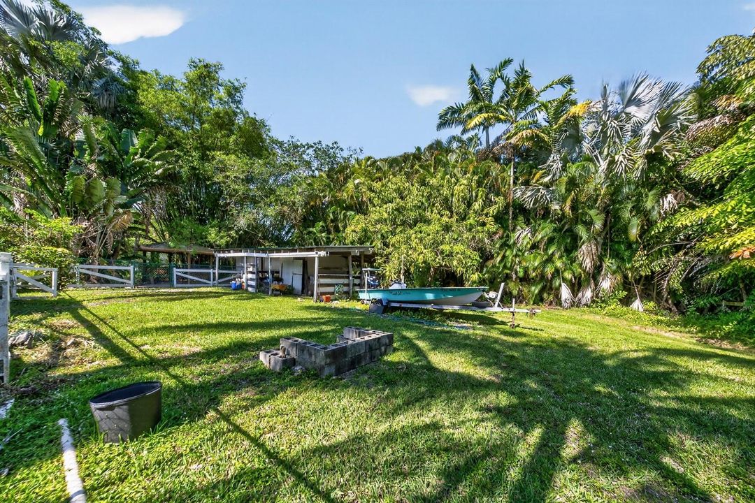 Back Yard