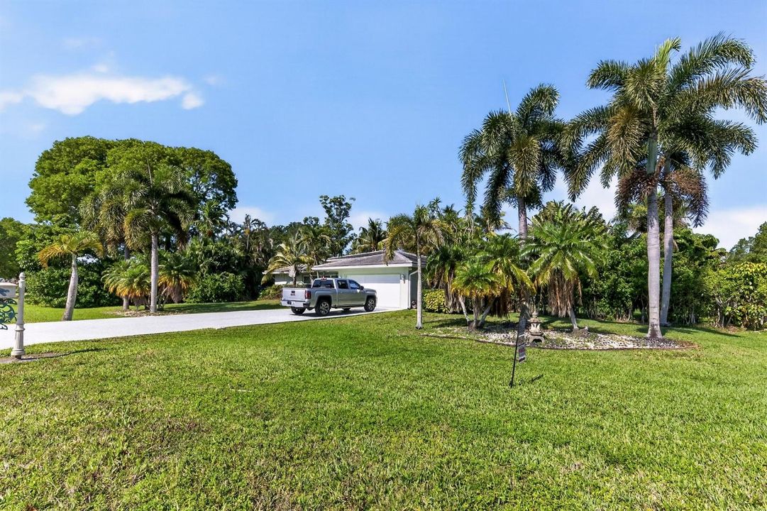 Front Yard