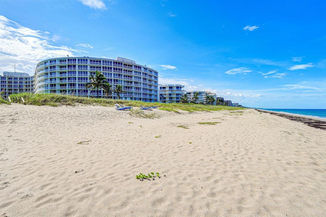 2774SOceanBlvd-AmbassadorSouth(11)