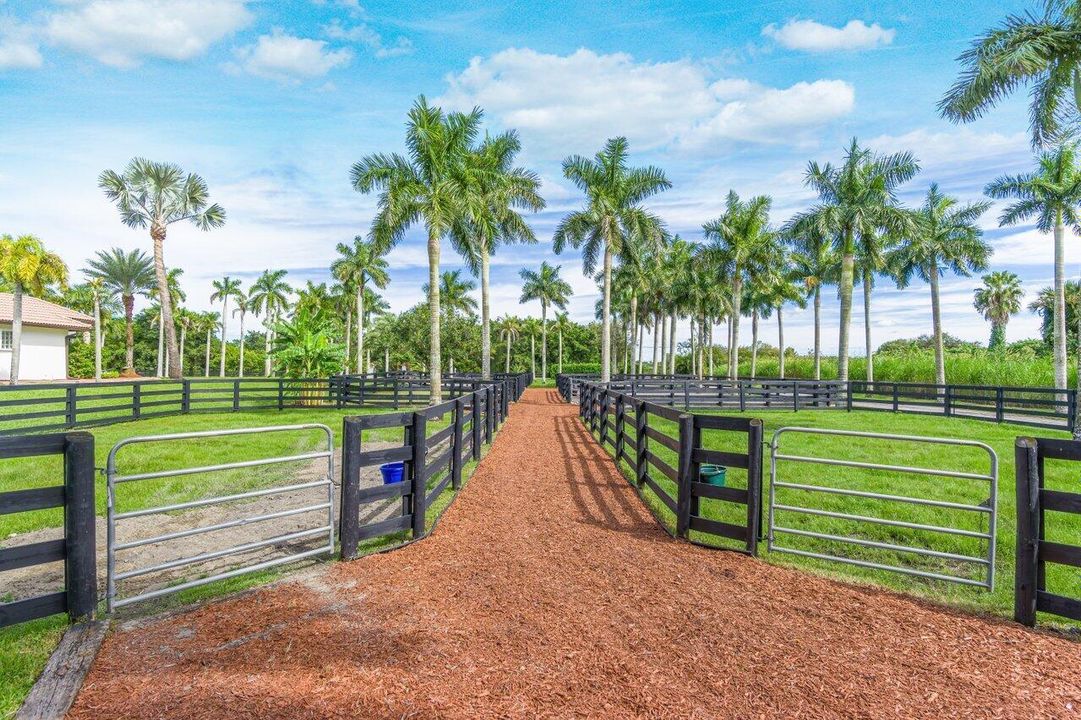 063-2587SkipiksWay-Wellington-FL-33470-S