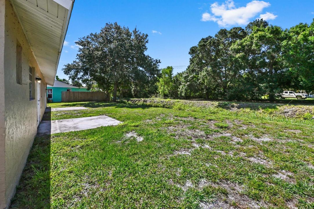 19 backyard 01