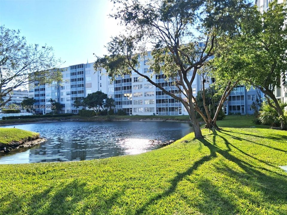 For Sale: $135,000 (1 beds, 1 baths, 1036 Square Feet)