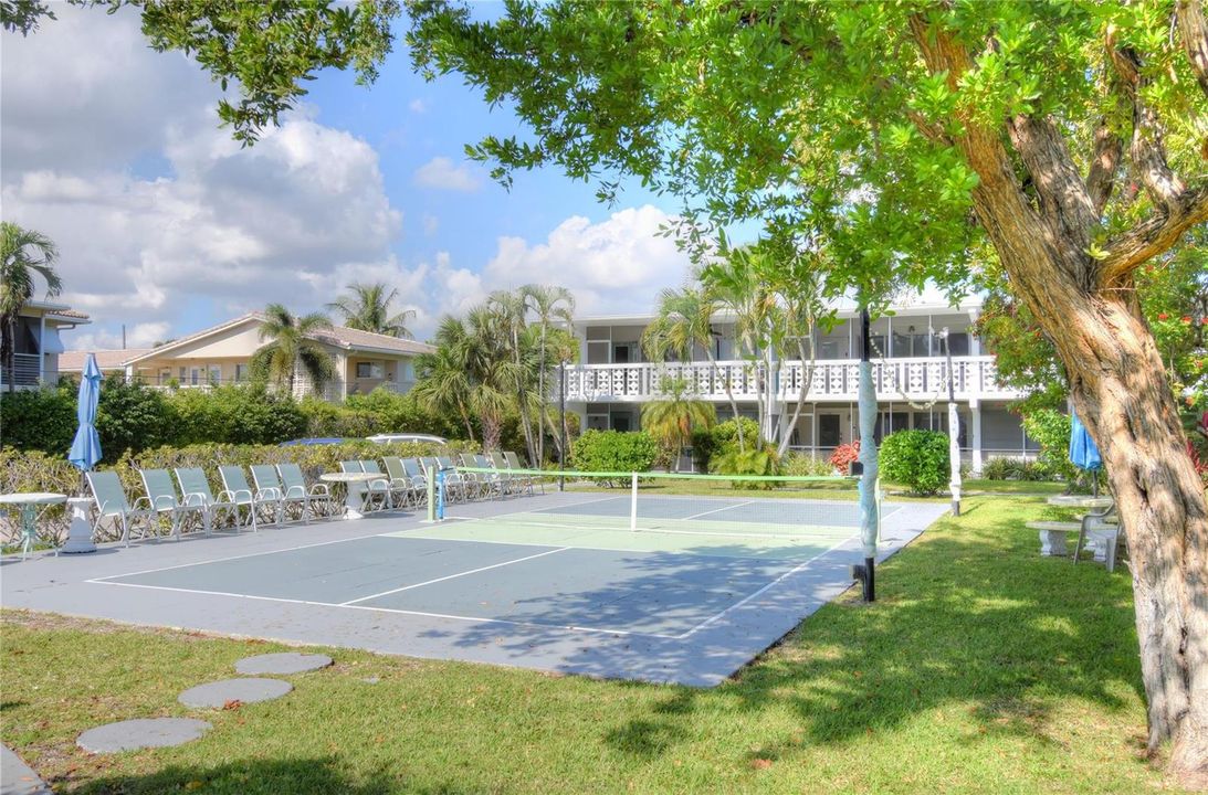 Net Games Court