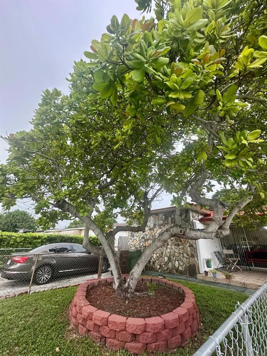 For Sale: $650,000 (4 beds, 2 baths, 1921 Square Feet)