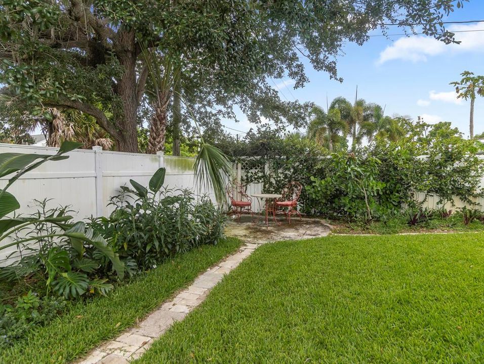 Back Yard