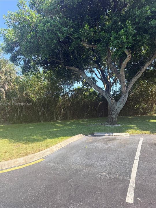 For Sale: $228,000 (2 beds, 2 baths, 887 Square Feet)