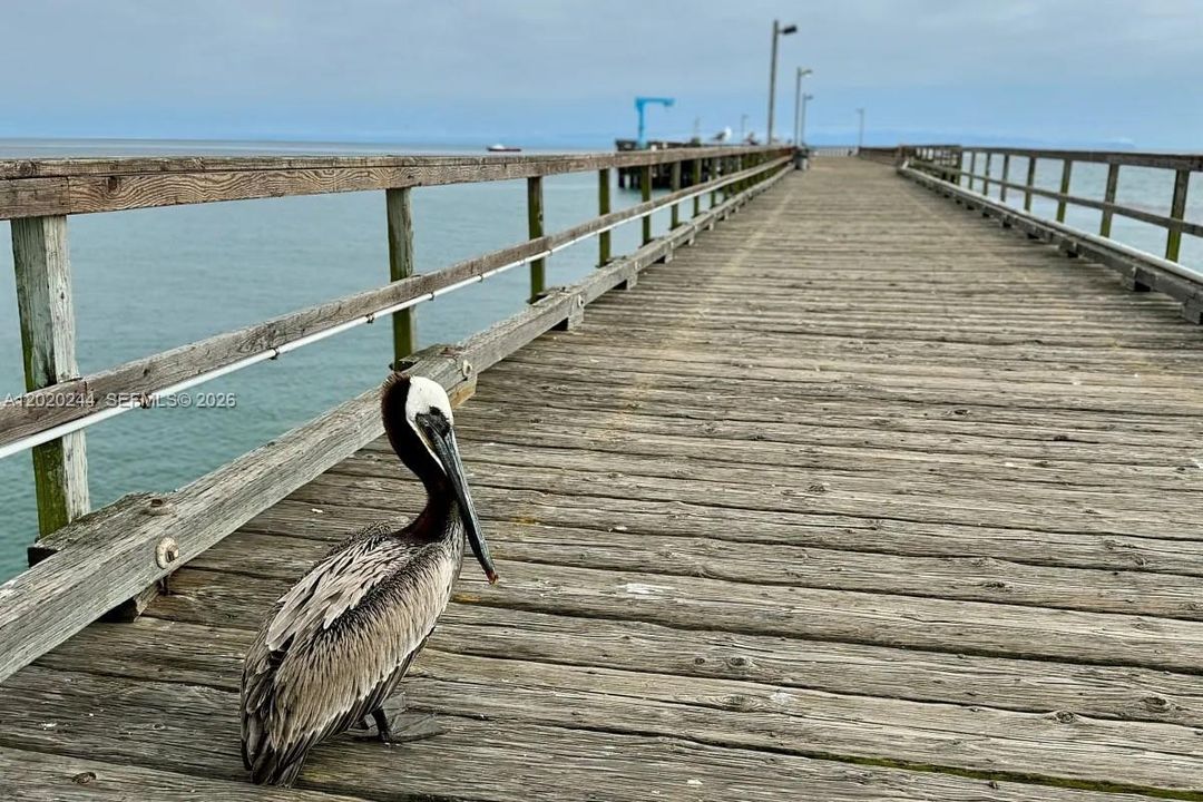 Dania Beach Pier