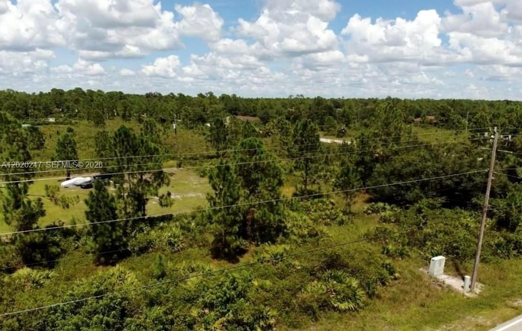 For Sale: $22,000 (25.00 acres)