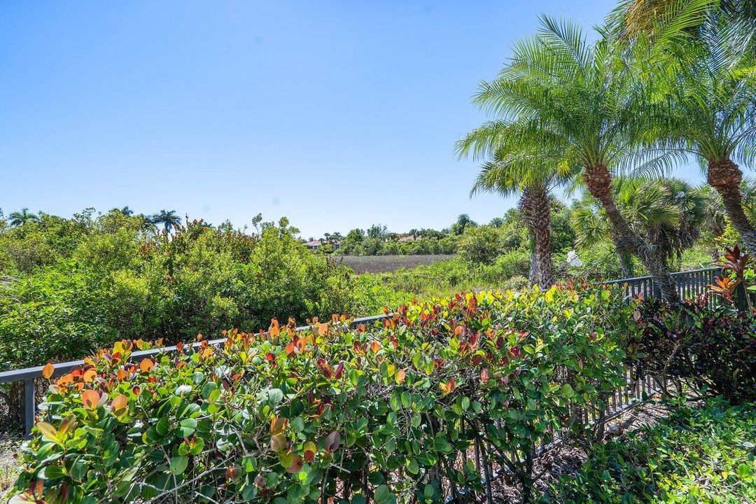 Beautiful Preserve View