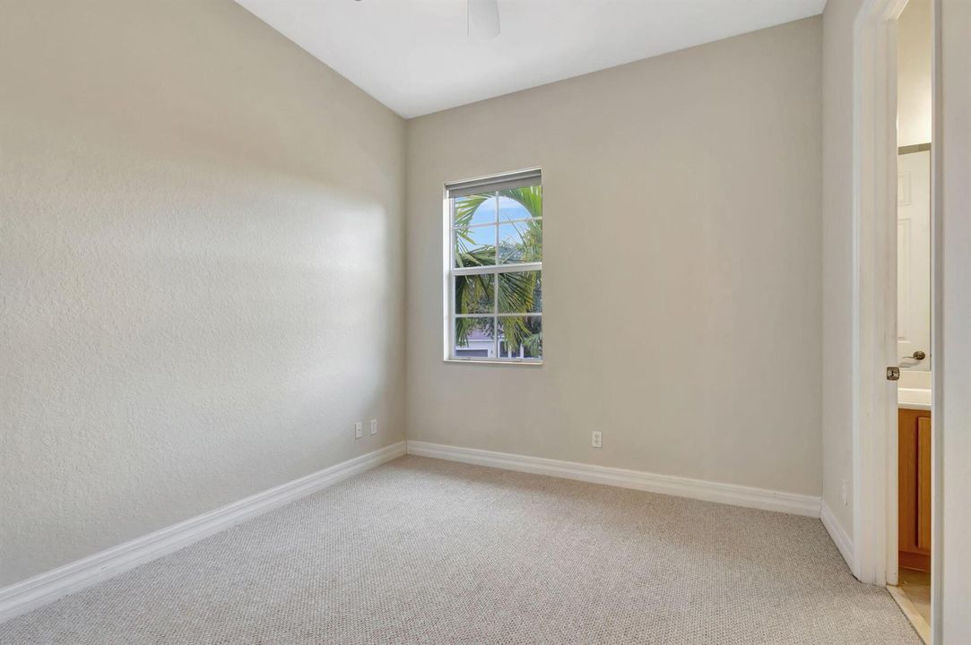 38-web-or-mls-5D1A8416
