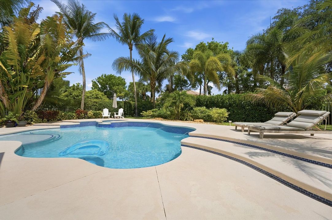 backyard oasis