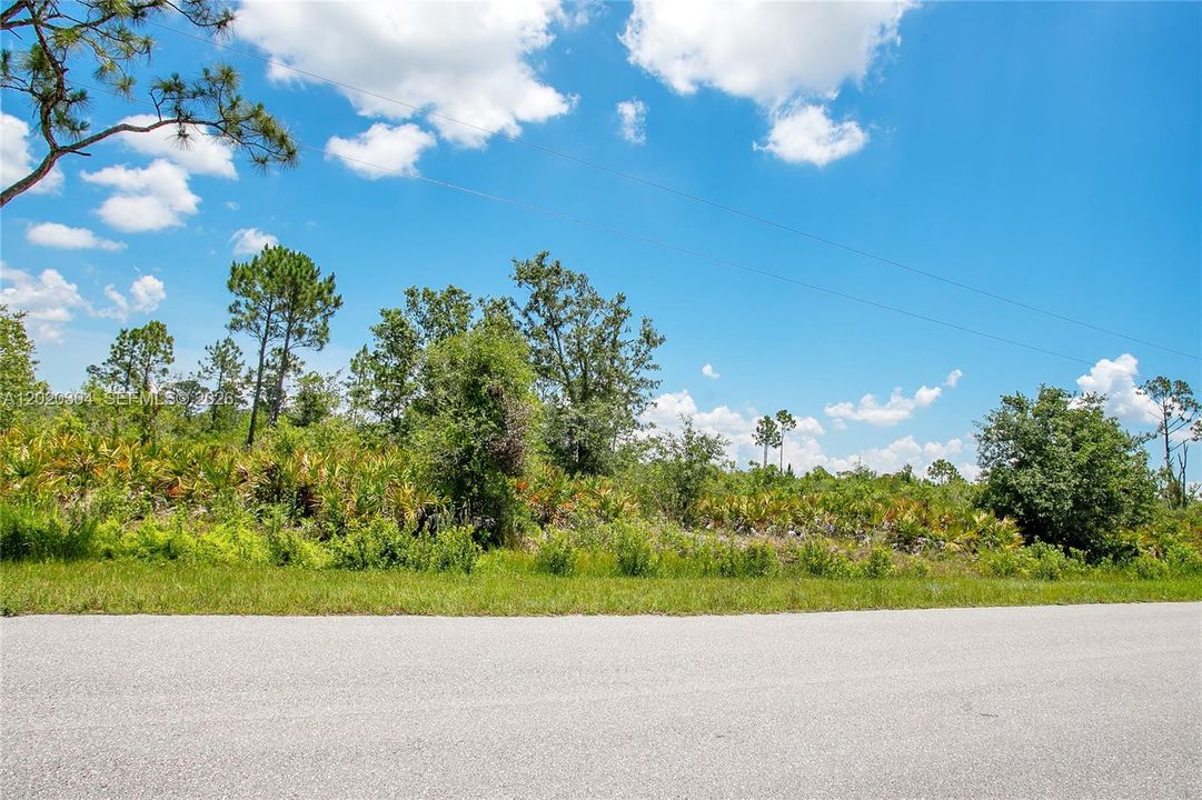 For Sale: $23,900 (0.29 acres)
