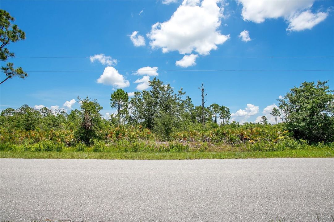 For Sale: $23,900 (0.29 acres)