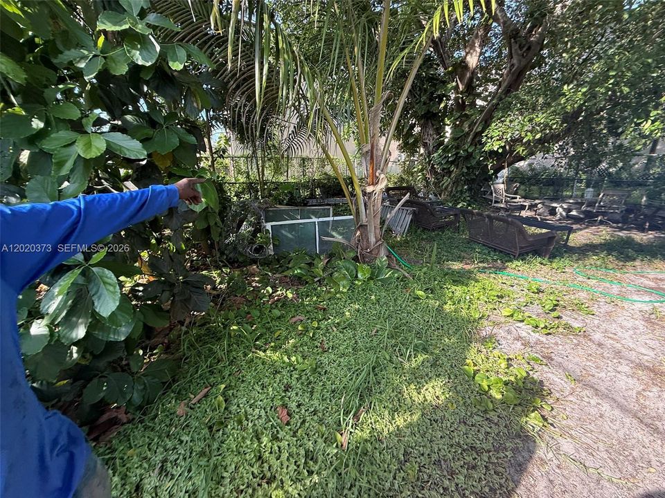 For Sale: $345,000 (3 beds, 1 baths, 1178 Square Feet)