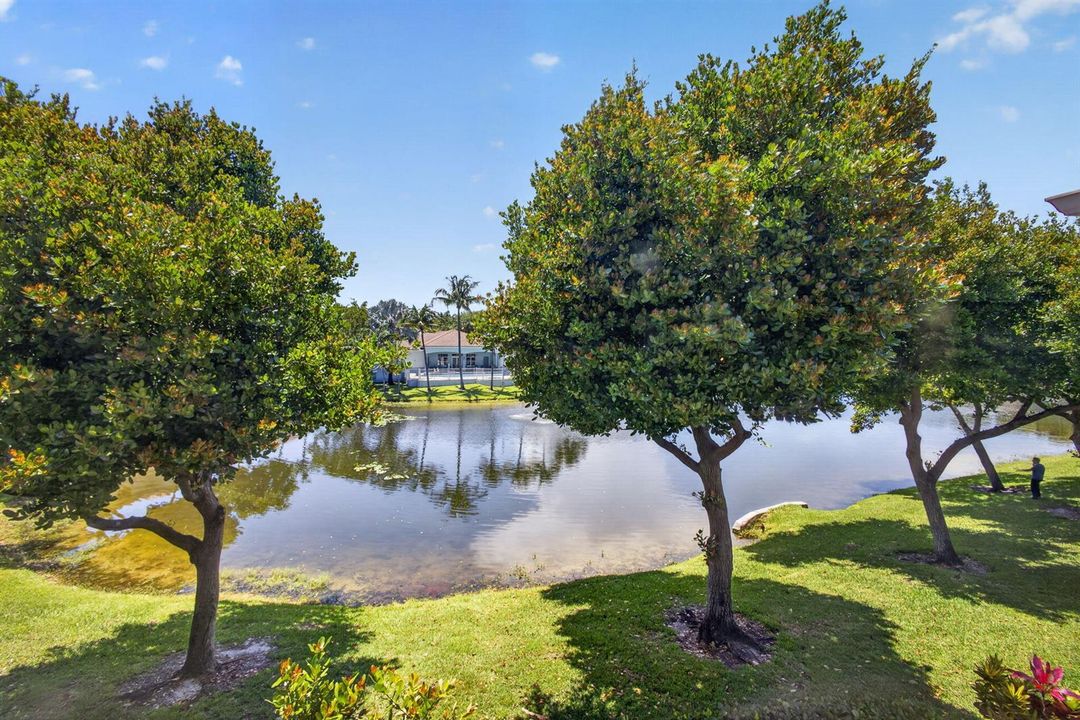 38-web-or-mls-5D1A5658