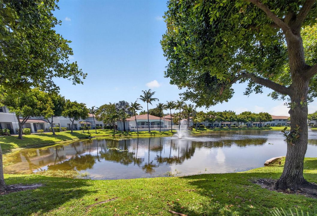 43-web-or-mls-5D1A5682