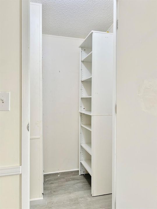 Primary Walk-In Closet