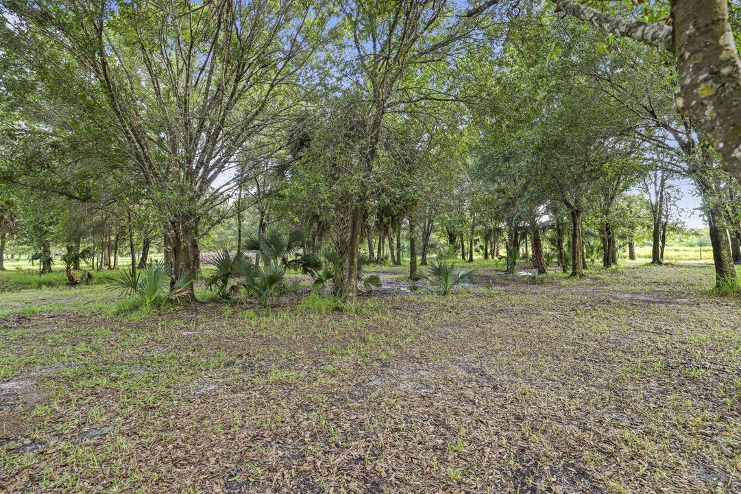 102-web-or-mls-3F2A5774Topaz