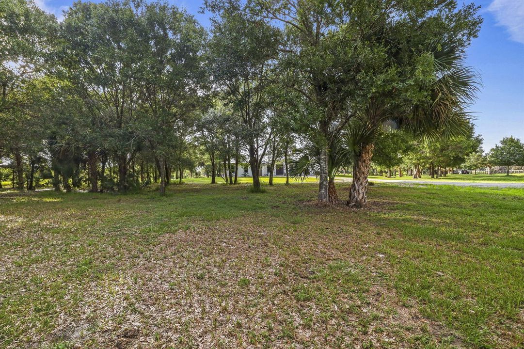 108-web-or-mls-3F2A5819Topaz