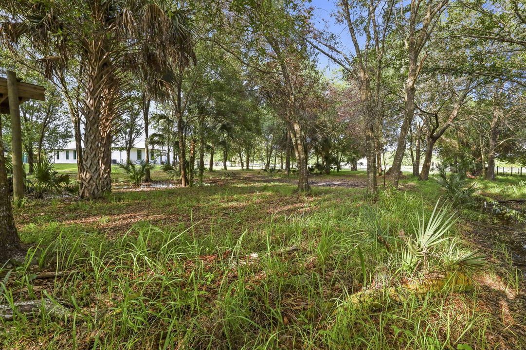 107-web-or-mls-3F2A5814Topaz