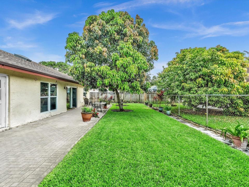 Backyard View