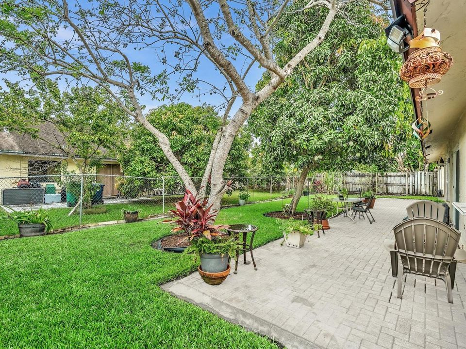 Large Backyard Patio