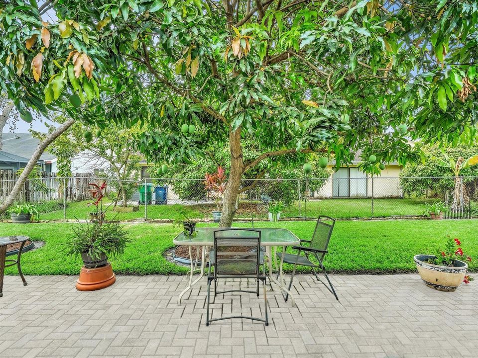 Back Patio and Yard