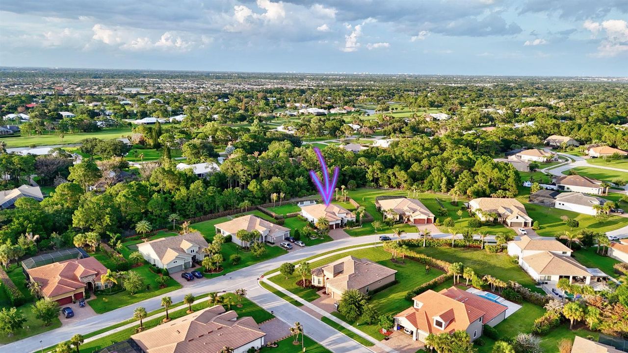Aerial2