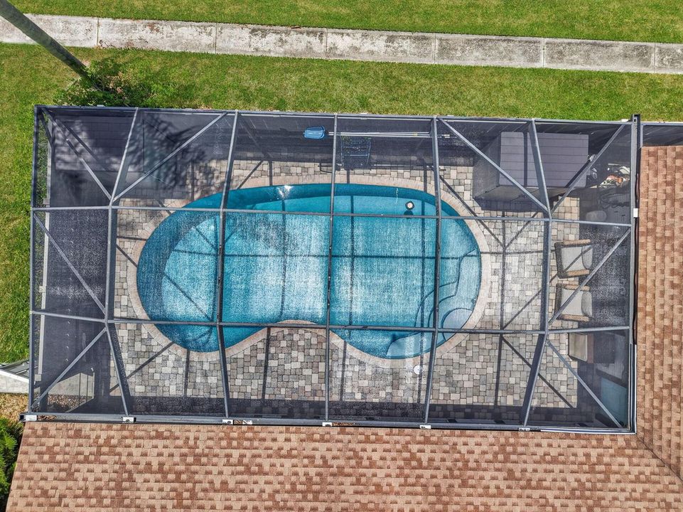 FREEFORM POOL