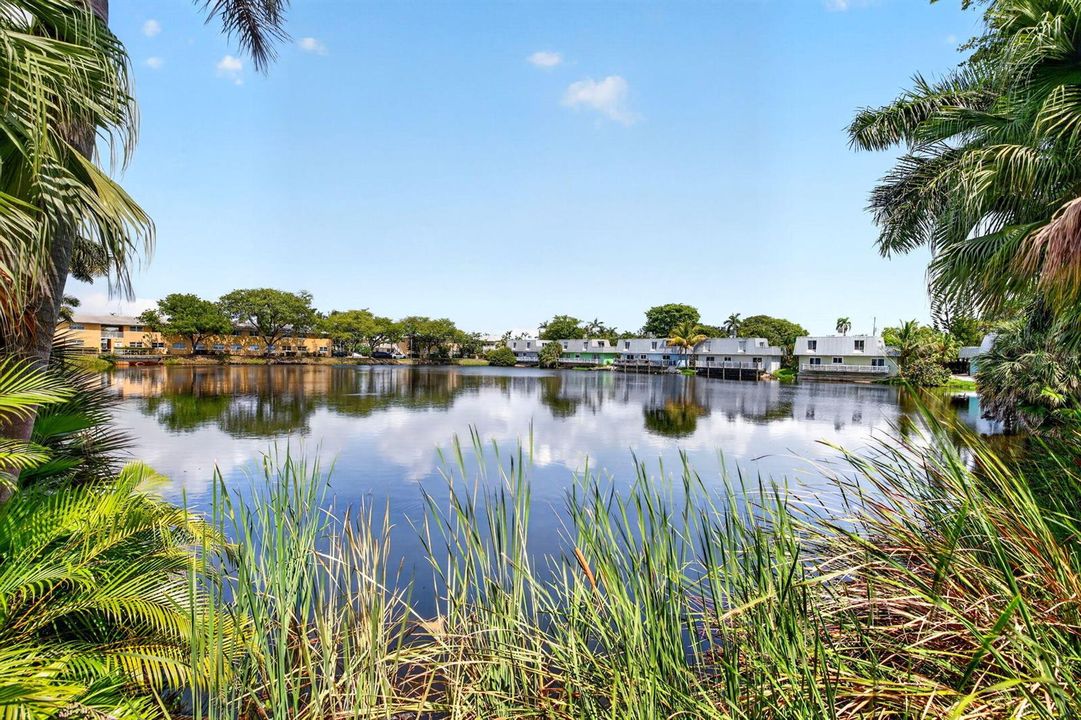 41 Lake View