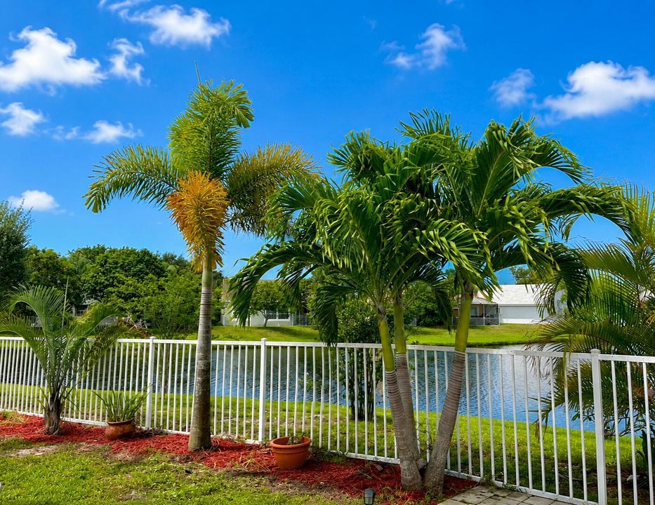 Gorgeous Lake View