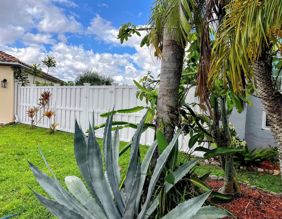 Fence for Privacy & Large Yard