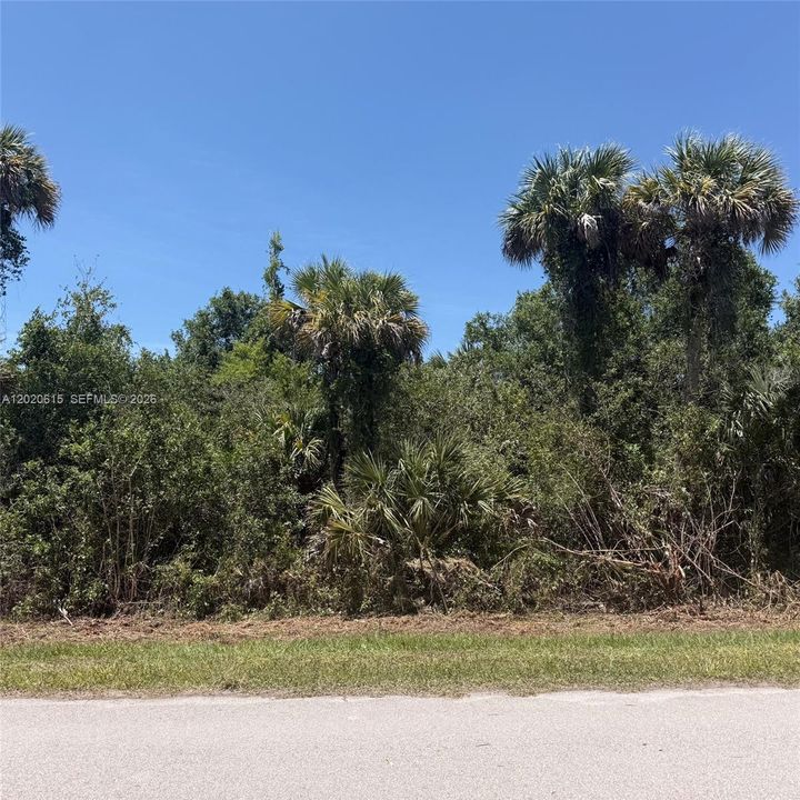 For Sale: $92,500 (2.73 acres)