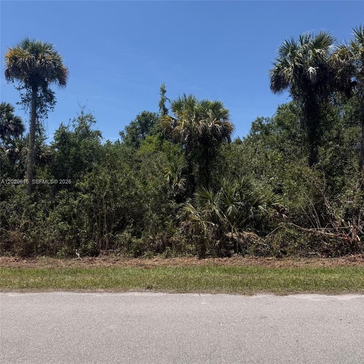 For Sale: $92,500 (2.73 acres)