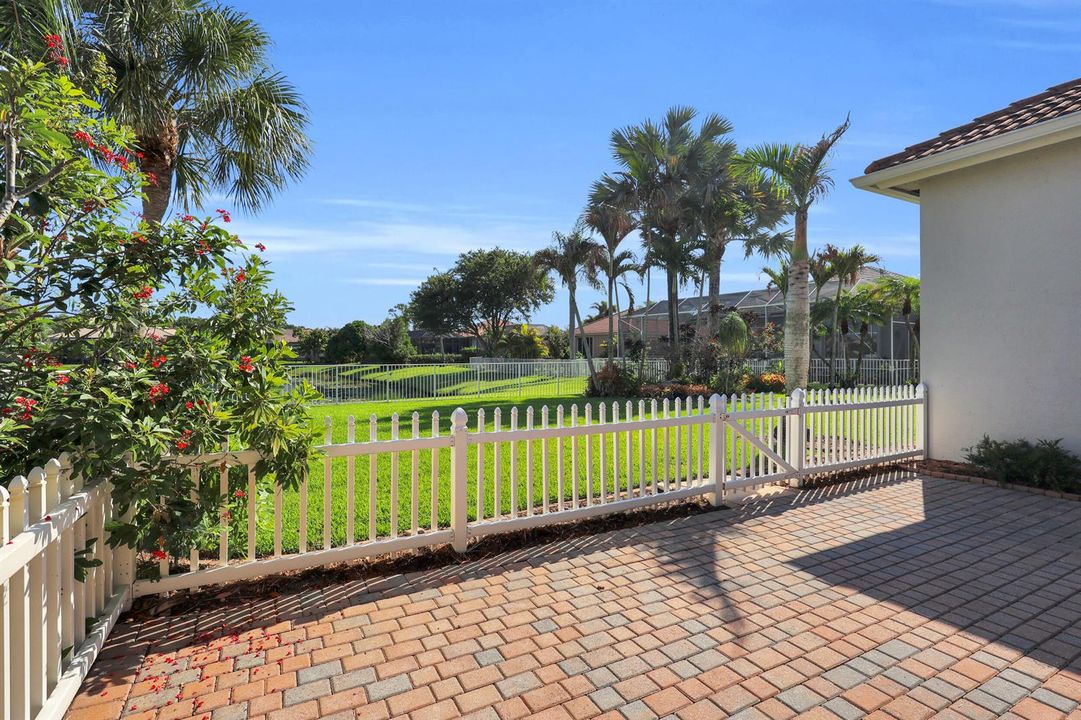 Patio/Backyard