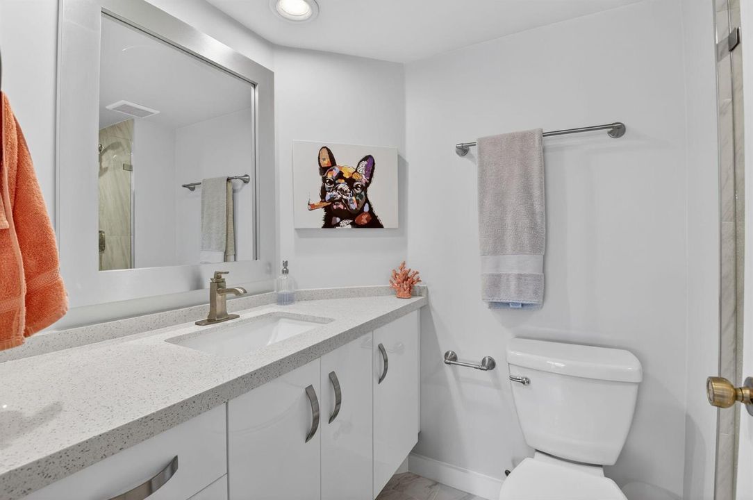 Guest full bathroom