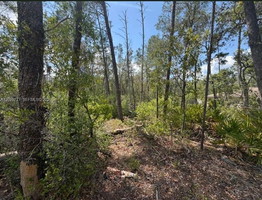 For Sale: $22,000 (0.28 acres)