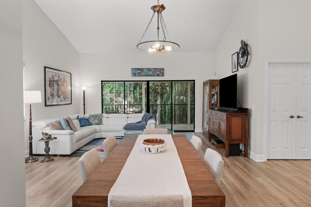 Dining / Living Room Area