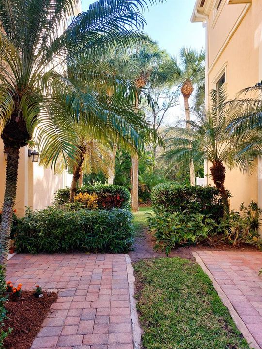 Tranquility walkway Morning Sun