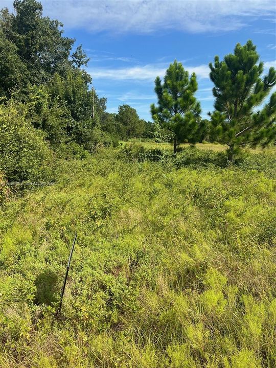For Sale: $205,000 (0 beds, 0 baths, 0 Square Feet)