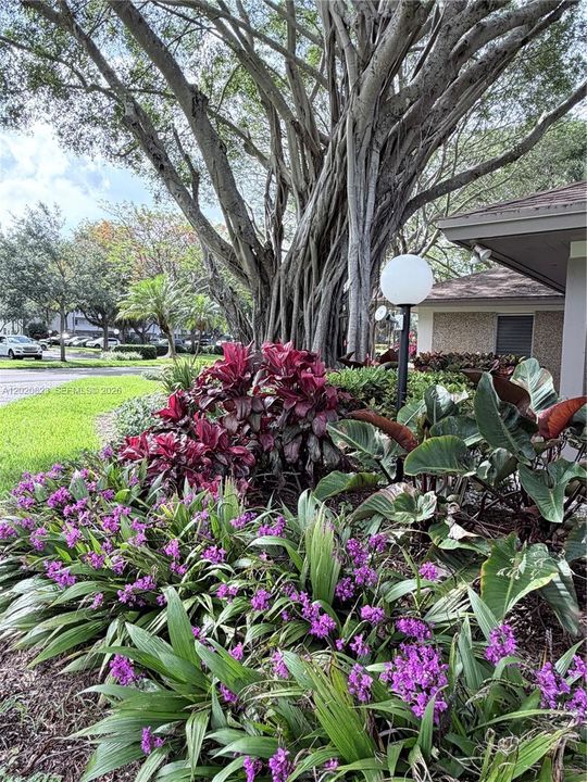 For Sale: $319,000 (2 beds, 2 baths, 1064 Square Feet)
