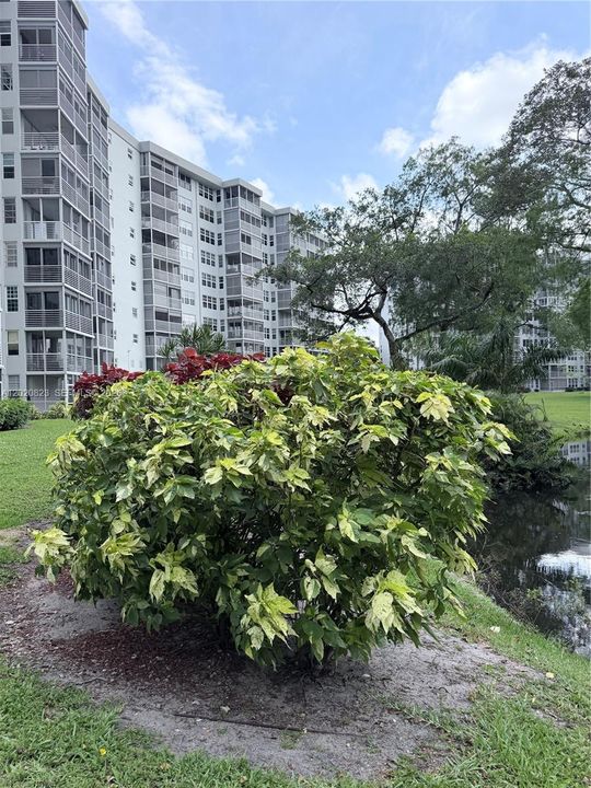 For Sale: $319,000 (2 beds, 2 baths, 1064 Square Feet)