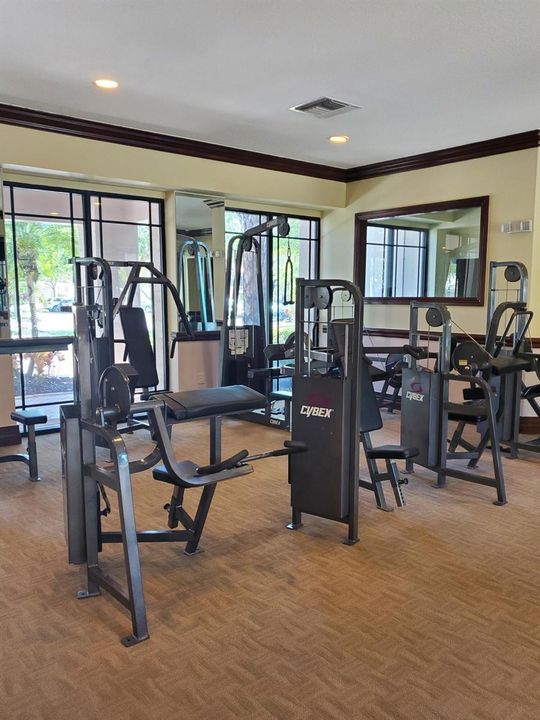 San Matera Gym 3