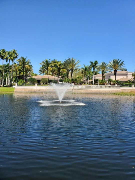 Pool Lake View