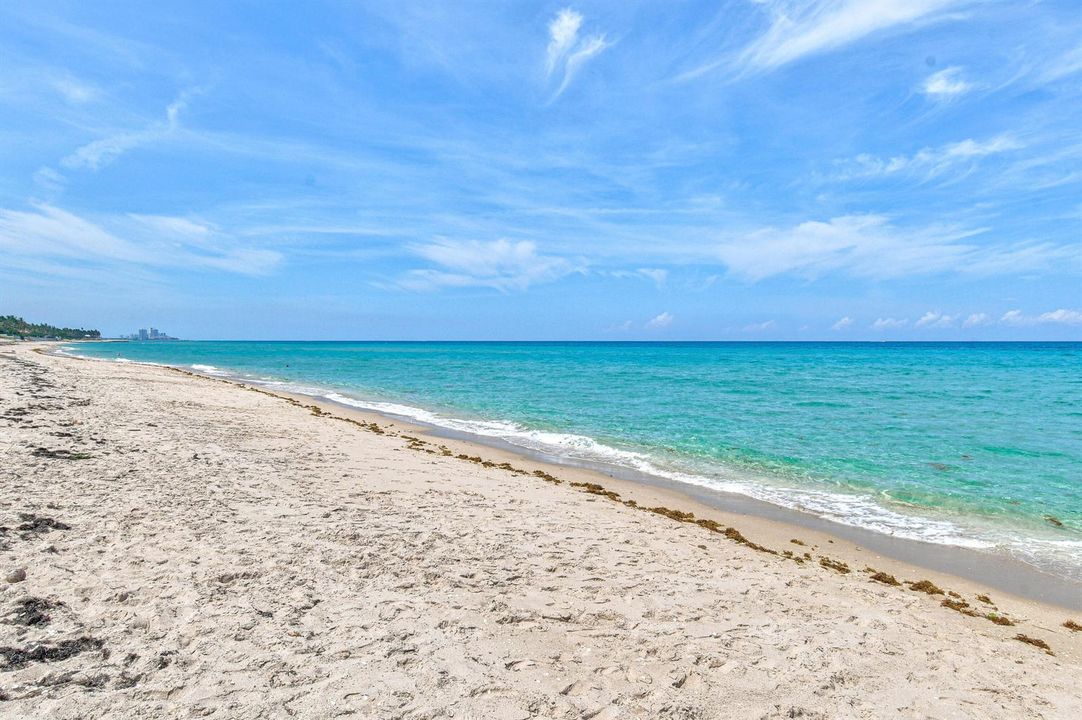 Ocean