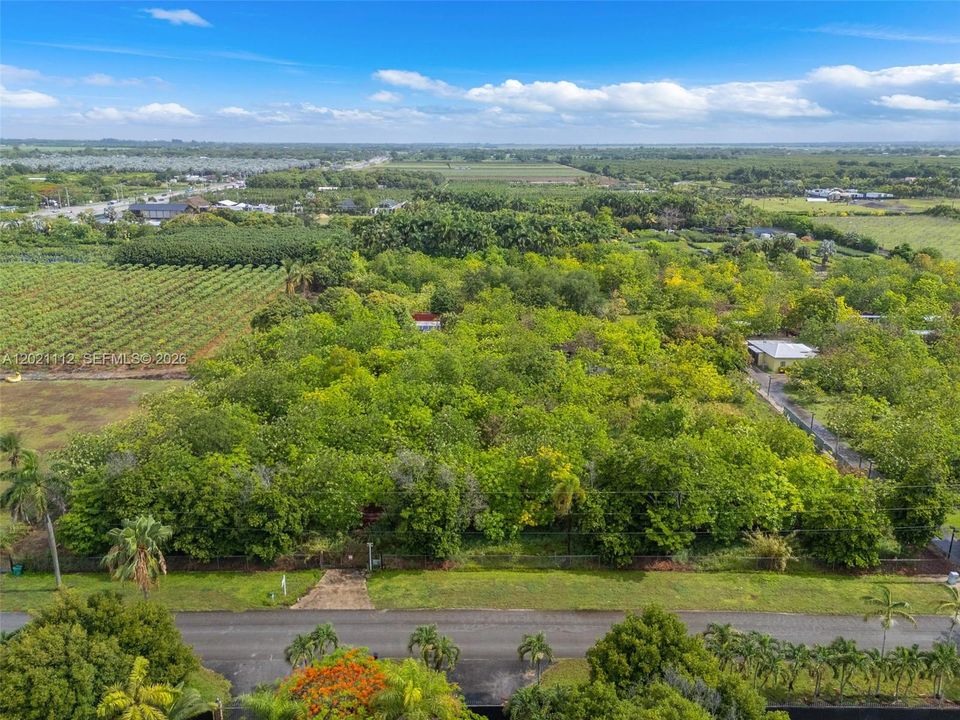 BOTH MAIN VARIETIES OF MAMAY, KEY WEST AND MALANGA.... THE PROPERTY/LAND  HAS SAT UNUSED FOR A FEW YEARS WITH THE GROVE UNMAINTAINED. THE GOOD NEWS IS THIS CAN SHORTEN  THE TIME FRAME FOR  THE PROPERTY TO BE ORGANIC WHICH WILL INCREASE CROPS VALUE
