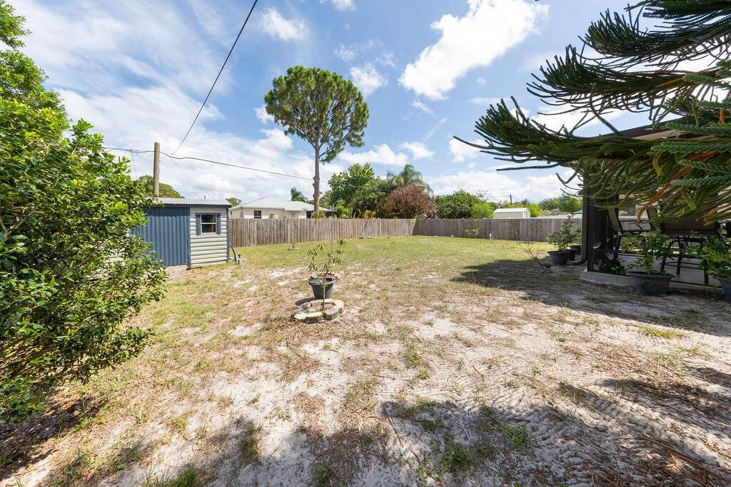 shed and patio