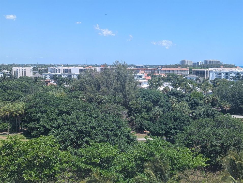 North Facing View From Balcony