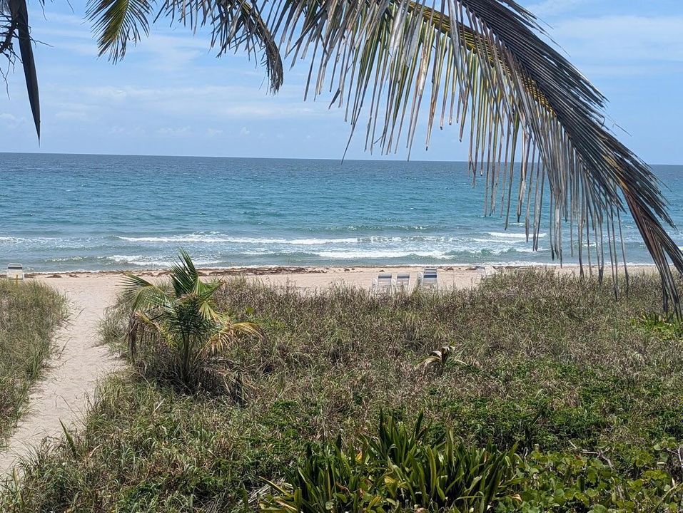 Boca Towers Beach Pic1